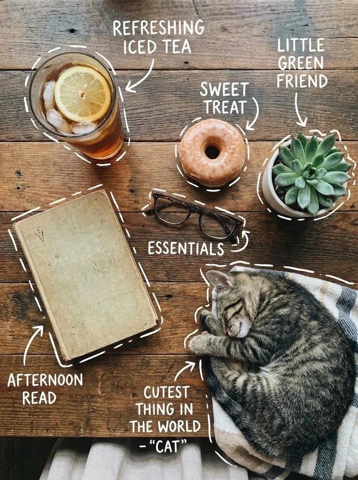 Whisk AI (whisk-ai.co) prompt example: Cozy tea and cat flat lay